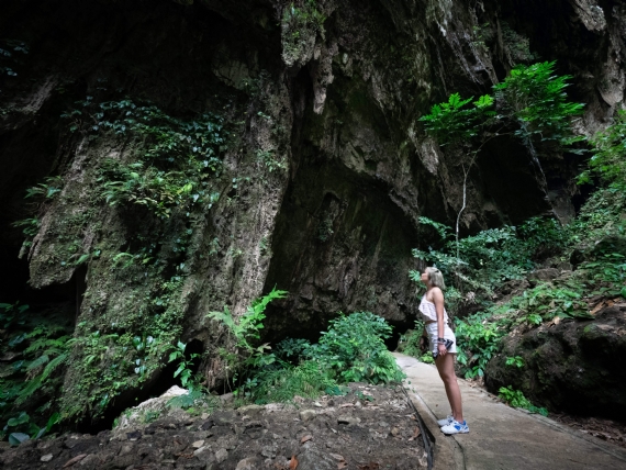 5D4N 5D4N Miri & Mulu Tour
