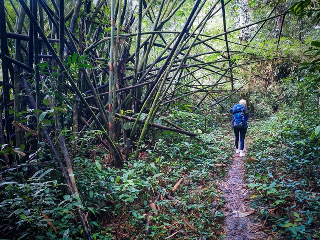Njoy Borneo Tours photo 4