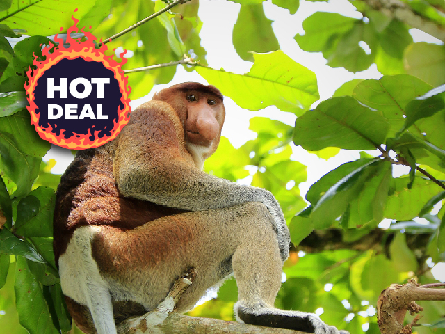 Njoy Borneo Tours photo 3